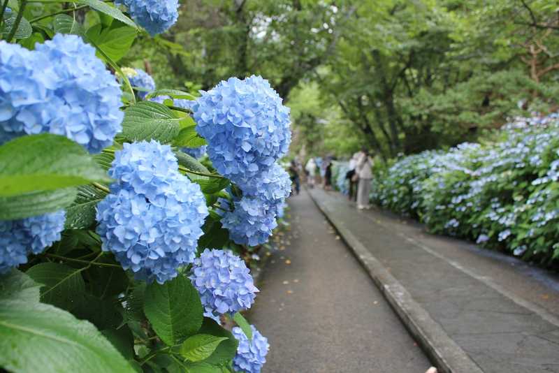 長法寺の画像