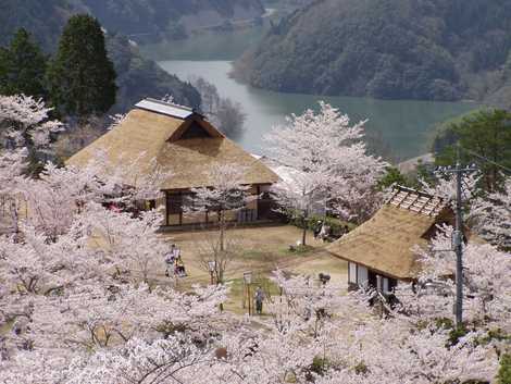 三休公園 津山 美作 花の名所 の施設情報 いつもnavi