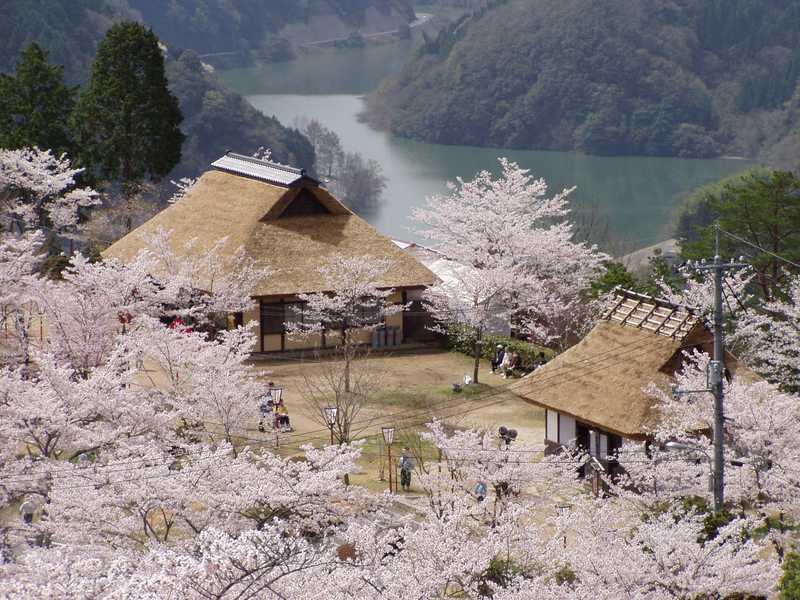 三休公園の画像