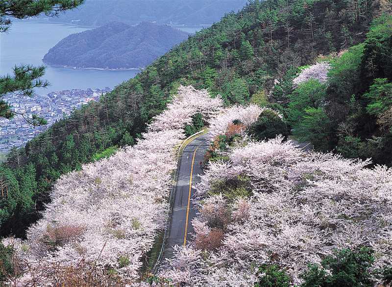 野呂山の画像