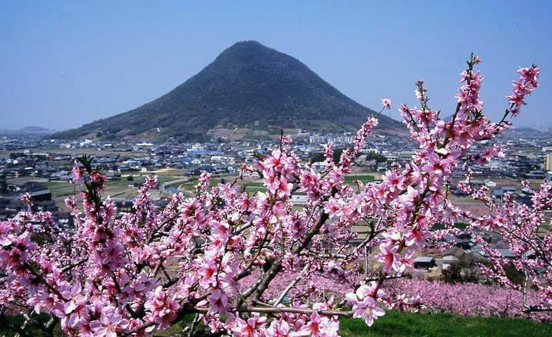 飯山町楠見地区の画像