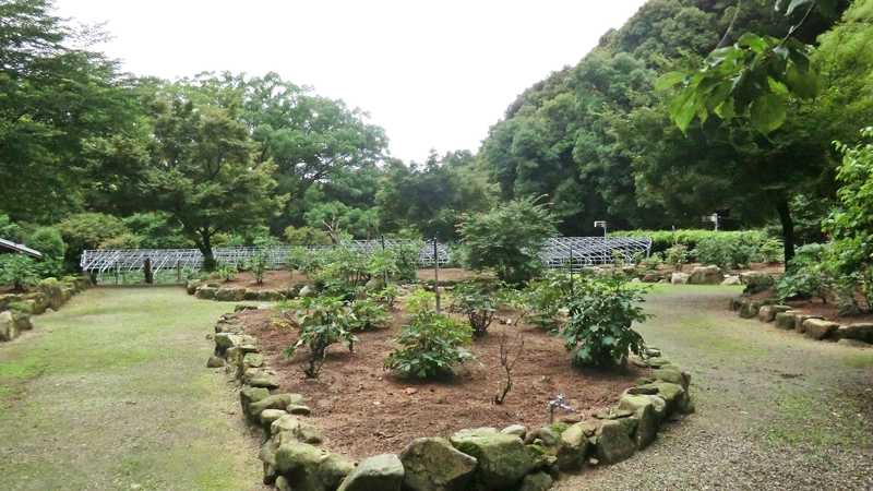 清水山ぼたん園の画像