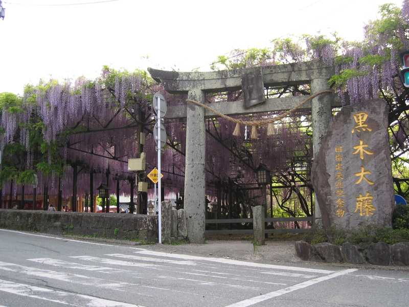 素盞鳴神社の画像