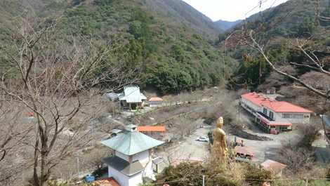 一心寺 一心寺の画像