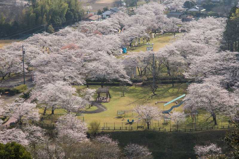 母智丘関之尾公園の画像