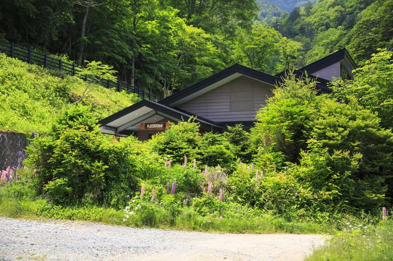 手白澤温泉の画像