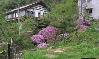 高茂温泉の画像