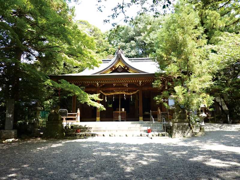 阿蘇神社の画像