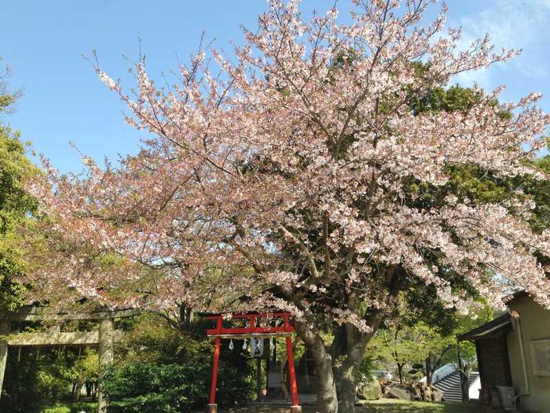 一岡神社の画像