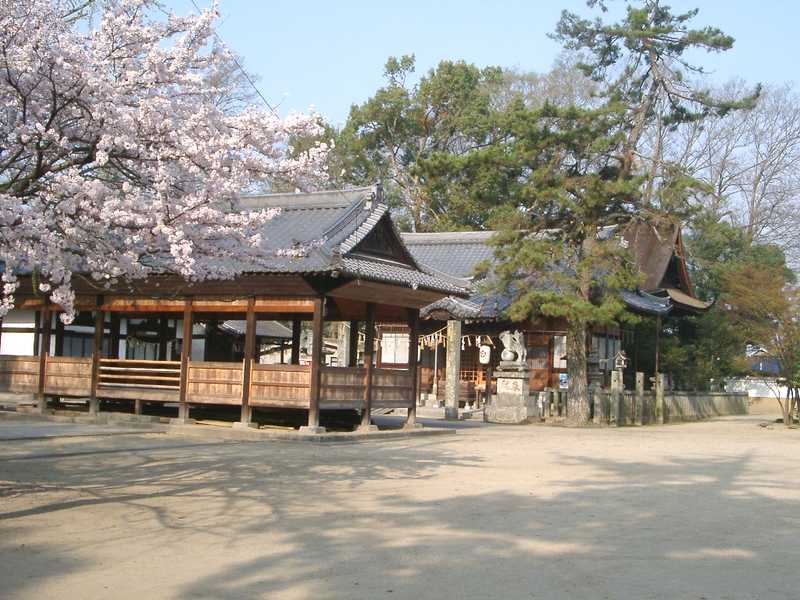 素盞嗚神社の画像