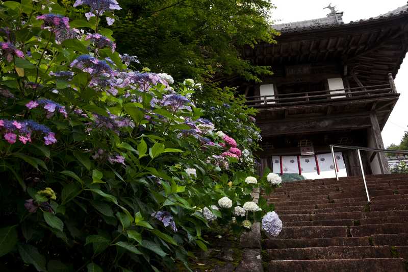 あじさいの山寺三光寺 岐阜 の施設情報 ゼンリンいつもnavi