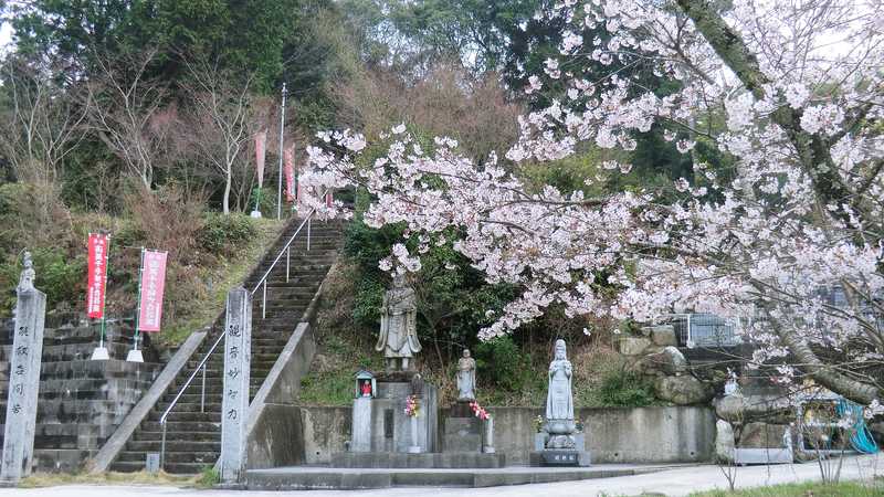 安国寺の画像