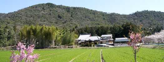 雪野寺（龍王寺）の画像