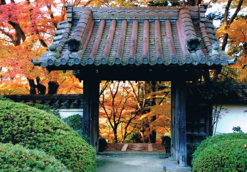 大門寺の画像