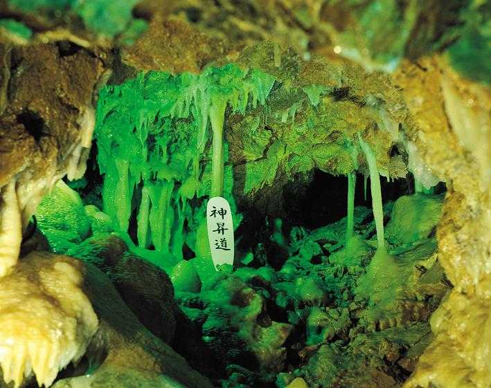 鍾乳洞グリーンパーク(旭川・上川)の施設情報｜ゼンリンいつもNAVI