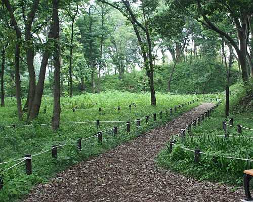 茅ヶ崎城址公園の画像