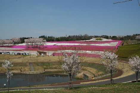 北部運動公園の画像