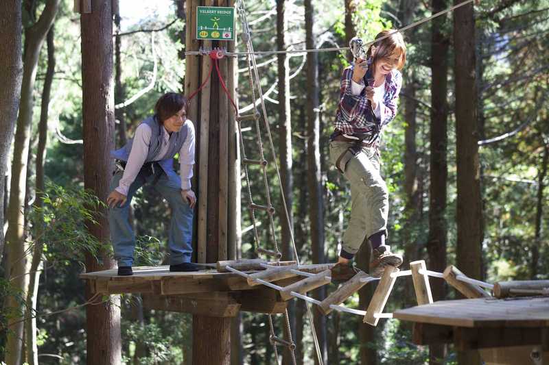 フォレストアドベンチャー 箱根 箱根 の施設情報 ゼンリンいつもnavi