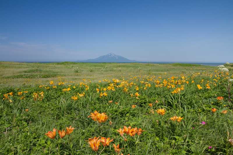 サロベツ原生花園 稚内 宗谷 の施設情報 ゼンリンいつもnavi