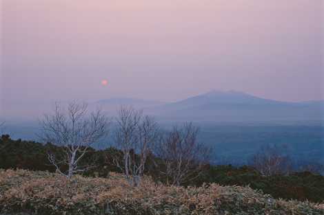 藻琴峠の画像