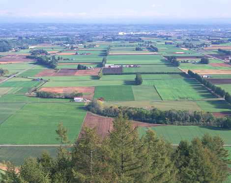 新嵐山展望台の画像