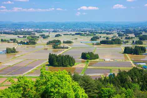 花巻の散居村の画像