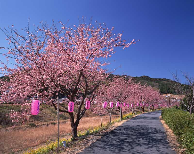 下賀茂温泉の画像