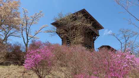 長峰山展望台の画像