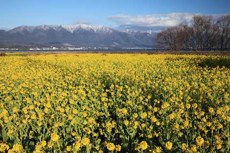 第1なぎさ公園 湖東 湖南 景観地 展望台 灯台 の施設情報 いつもnavi