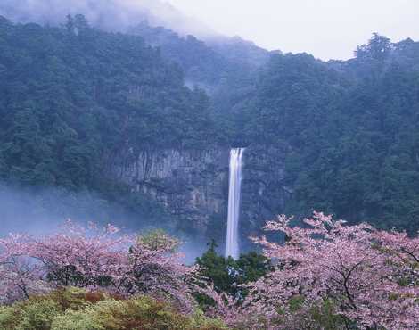 那智大滝の画像