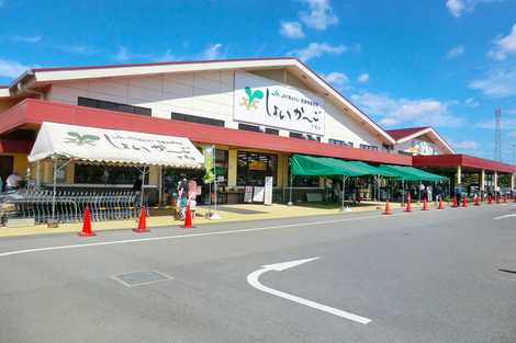 JA千葉みらい農産物直売所しょいかーご千葉店 JA千葉みらい農産物直売所しょいかーご千葉店の画像