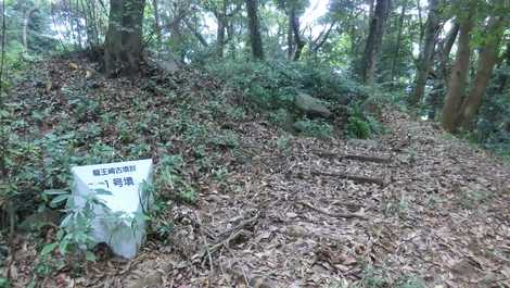 龍王崎古今の森公園の画像