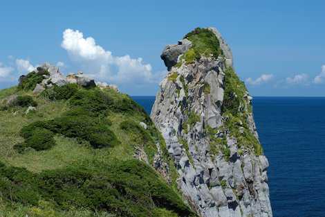 猿岩 猿岩の画像