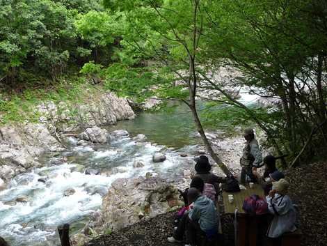 森林セラピー基地の画像