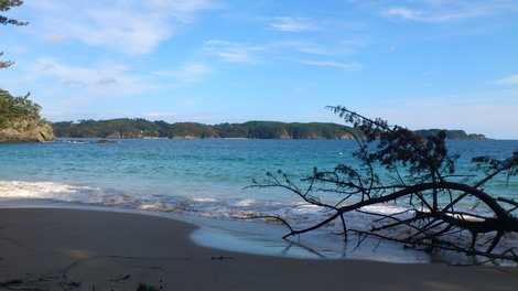 気仙沼大島の画像