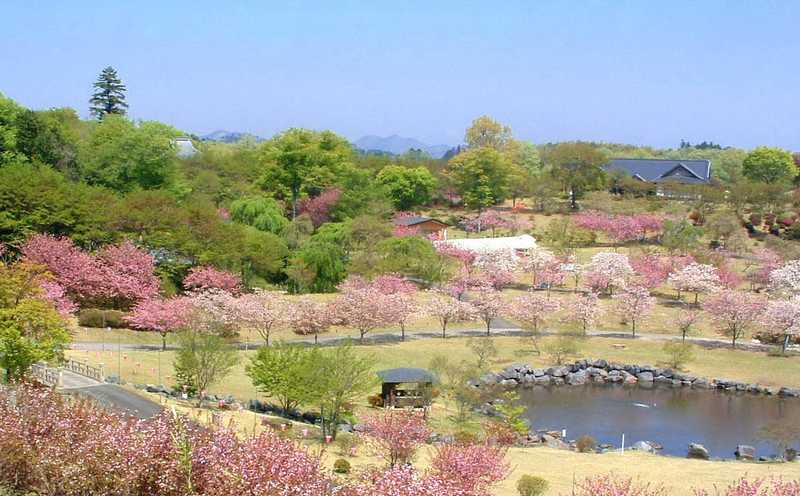 つがの里の画像