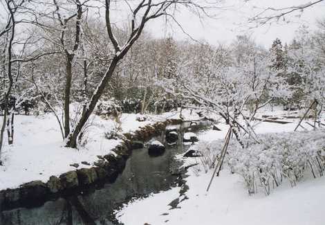 磯川緑地公園の画像