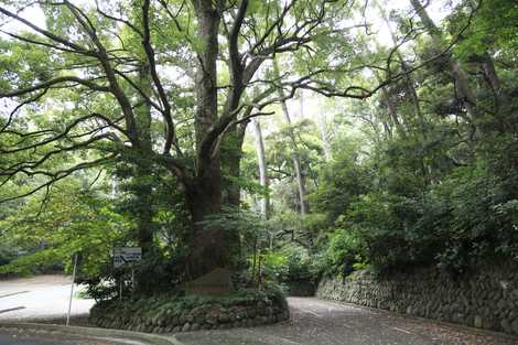 県立真鶴半島自然公園 真鶴 湯河原 近隣公園 の施設情報 いつもnavi