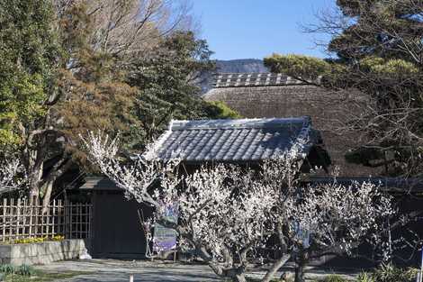 あしがり郷「瀬戸屋敷」の画像