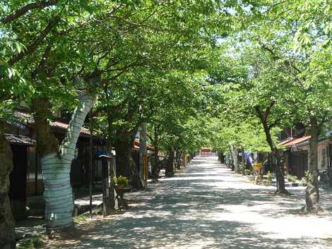 新庄村町並み保存地区の画像