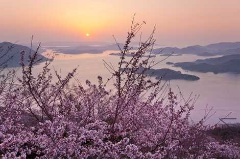 三原市・竜王山の画像