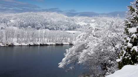 信濃川（川井大橋）の画像