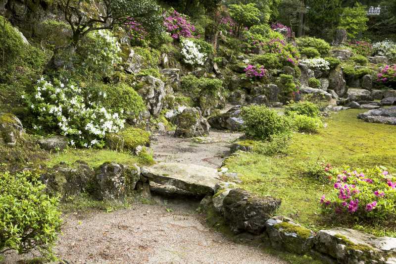 天徳寺の画像