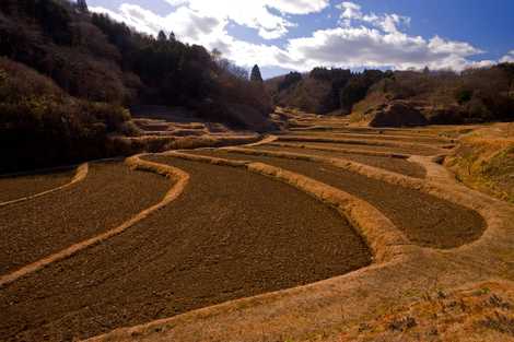 石畑の棚田の画像