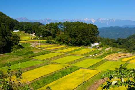 慶師沖の棚田の画像