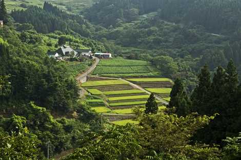 田沢沖の棚田の画像