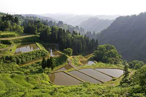 天水島の棚田の画像