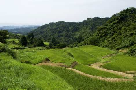 花坂の棚田の画像