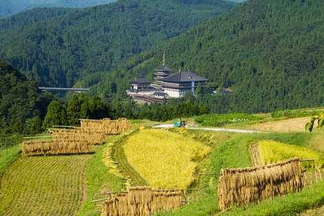 日本の棚田百選「和佐夫・西ヶ岡」の画像