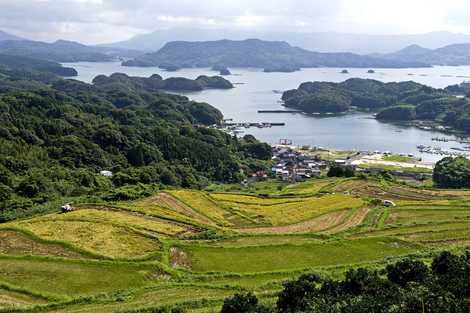 大浦の棚田の画像